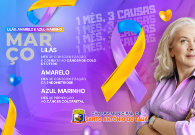 Março Lilás, Amarelo e Azul-Marinho 2025